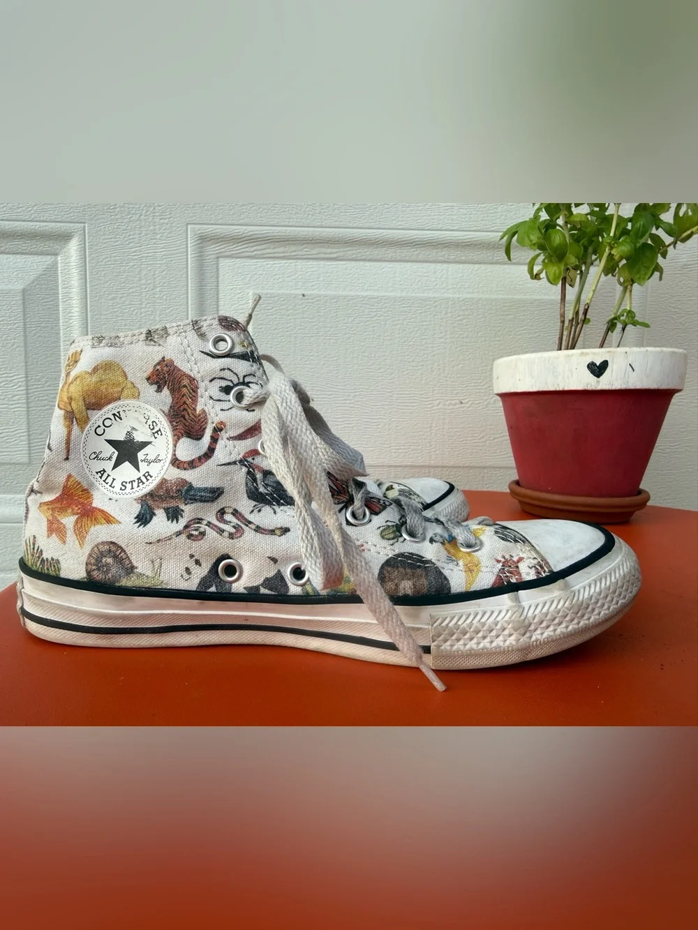 Converse Junior Chuck Taylor All Star Hi sneakers Science Class / Zoo Animals 5